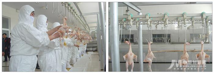 �������´��ڞg�[�DƬ