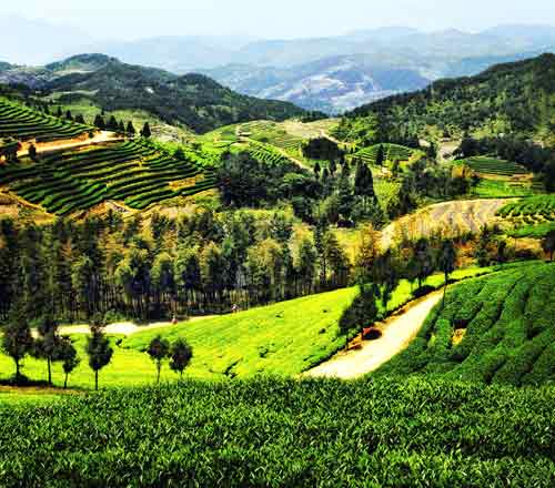 �������´��ڞg�[�DƬ