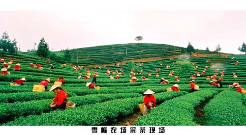 �������´��ڞg�[�DƬ