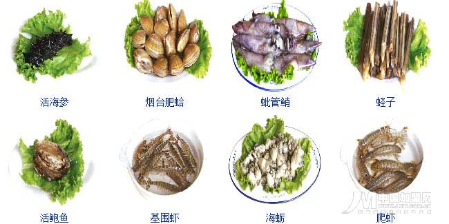 �������´��ڞg�[�DƬ