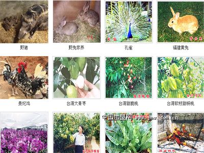 �Ќ����ϸ����B(t��i)�r(n��ng)�f