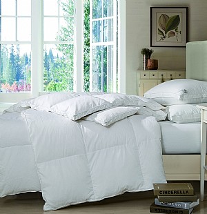 �W�m���Z�q����