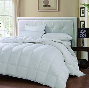 �Ƶ����Z�q��