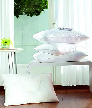 ���������w���ػ�����ľ�����F�����������ΛQ��������