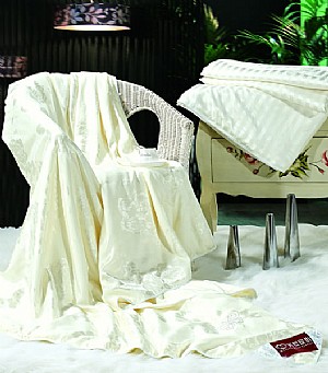 �������Q�z�ı�