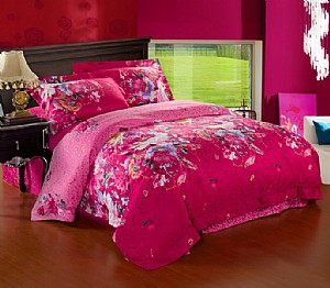 ������-����(��i)����