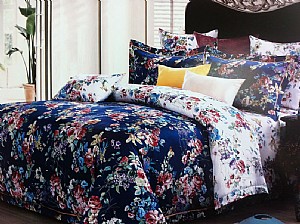 �χ�����