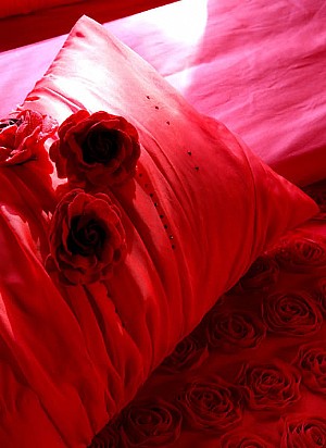 ��ʹ����C