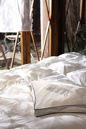 ��������-ɣ�Q�z���Ứ���������Z�q���،�