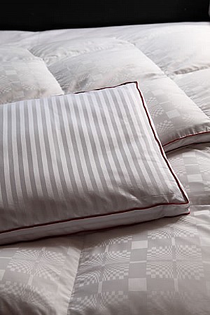 ��������-�p�z��