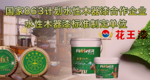 ����Ϳ��